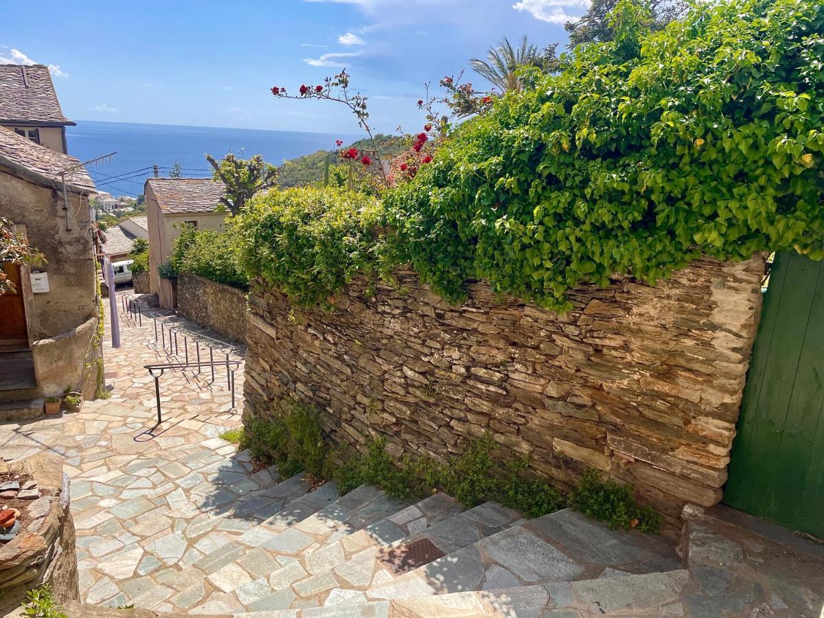 ブランドLa Casa Poli Un Tiny Loft Au Cap Corseアパートメント エクステリア 写真